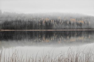 霧の立ち込める秋の湖 作： Christina Sillen
