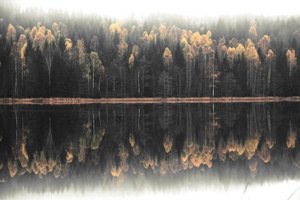 霧のかかった秋の水面に映る景色 作： Christina Sillen