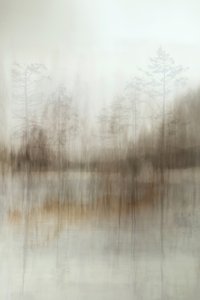 霧の森の映り込み 作： Christina Sillen