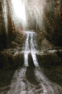 霧のかかった森の小道 作： Christina Sillen