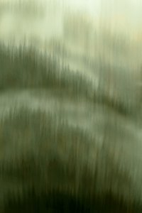 霧の森の静寂 作： 