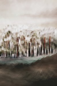 霧の森の静寂 作： Christina Sillen
