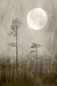 霧のかかった月の上 作： Christina Sillen