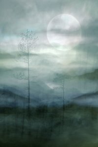 霧のかかった月明かりの森 作： Christina Sillen