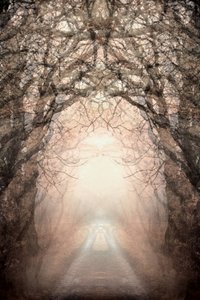  作： Christina Sillen