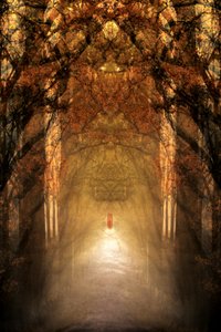 神秘の森のトンネル 作： Christina Sillen