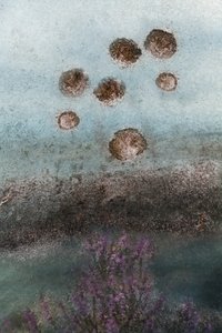 紫の花と抽象的な空 作： Christina Sillen
