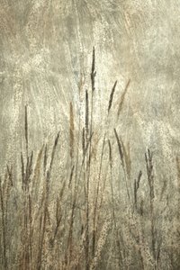  作： 
