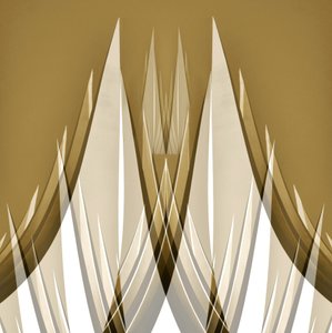 研ぎ澄まされた黄金の幾何学 作： 
