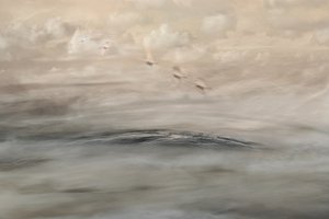 シルバー・ヘイズ 作： Christina Sillen