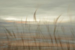 柔らかなビーチの水平線 作： 
