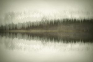  作： 