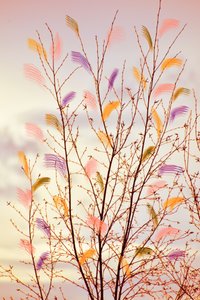 春らしい遊び心あふれる枝