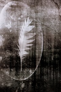 ホワイト・フェザー・ムーン 作： Christina Sillen
