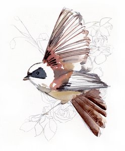 空を飛ぶ水彩画の鳥 作： 
