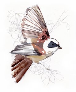 空を飛ぶ水彩画の鳥 作： 