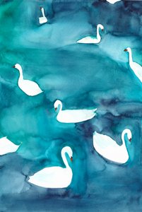 水面に浮かぶ優雅な白鳥たち 作： 
