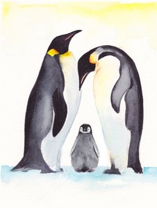 ペンギンの家族写真 作： 