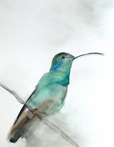 水彩画のティール色のハチドリ