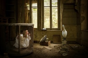 檻の中の女性とペリカン 作： Christine von Diepenbroek