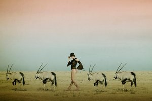  作： Christine von Diepenbroek