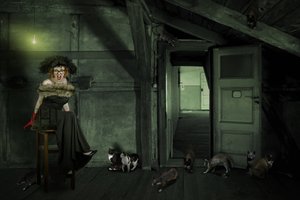 屋根裏の変わり者 作： Christine von Diepenbroek
