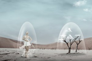  作： Christine von Diepenbroek