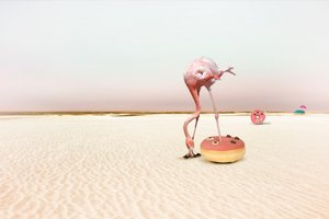 ピンクフラミンゴ・ドーナツ・ドリーム 作： Christine von Diepenbroek