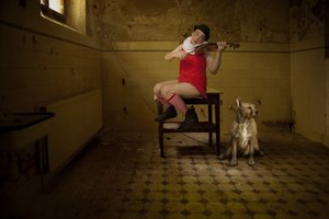 風変わりな部屋のセレナーデ 作： Christine von Diepenbroek