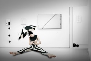  作： Christine von Diepenbroek