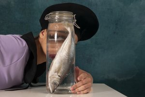 シュールな魚の眼差し