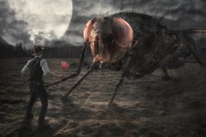  作： Christophe Kiciak
