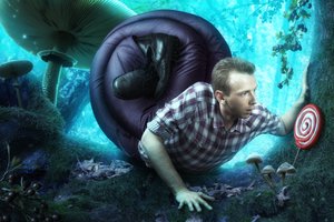 幻想的な森の旅
