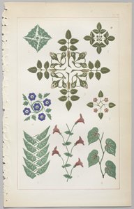 装飾デザインの芸術：付録付き、花が開く日の時間を示す、Day＆Son、ロンドン、1862年発行 作： Christopher Dresser