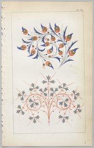 装飾デザインの芸術：付録付き、花が開く日の時間を示す、Day＆Son、ロンドン、1862年発行 作： Christopher Dresser