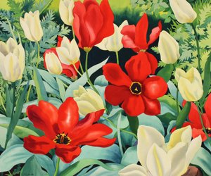 初期のチューリップ（紙に水彩） 作： Christopher Ryland