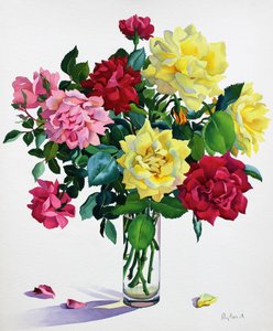 ジューンローズ（紙に水彩） 作： Christopher Ryland