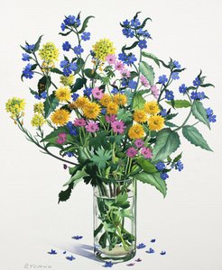 野の花とアルカネット、2021年（紙に水彩） 作： Christopher Ryland