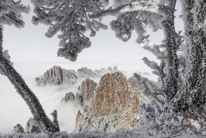 霧に包まれた冬の山々