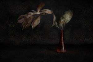  作： 