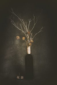  作： 