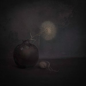  作： 