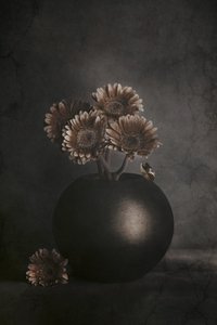  作： 