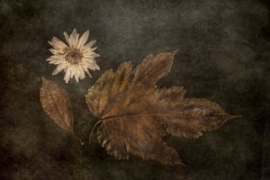  作： 