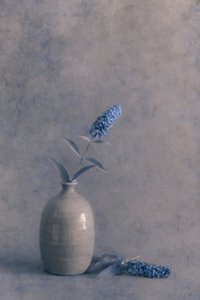  作： 
