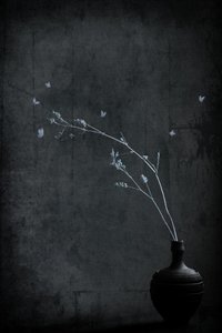  作： 