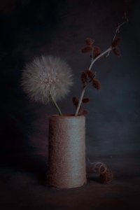  作： 