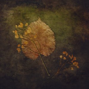 作： 