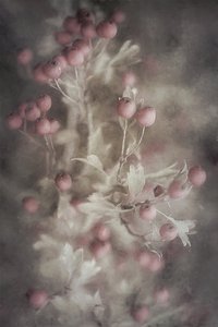  作： 