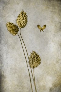  作： 